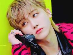 알파 싸움에 베타 등 터지기