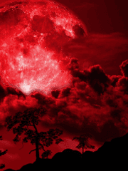 𝐏𝐡𝐢𝐥𝐨𝐬𝐨𝐩𝐡𝐞𝐫'𝐬 𝐬𝐭𝐨𝐧𝐞