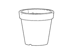 아마기 히이로 / 아마기 린네 [화분]