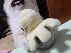 너네 이제 좀 친해질레?