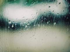 [태주은석] 우리가 함께 장마를 볼 수도 있겠습니다.