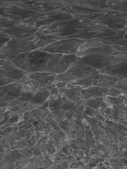 파도와 함께 춤을