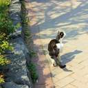 💜사진작가 혜📸