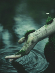 연극성 회귀 생활 기록