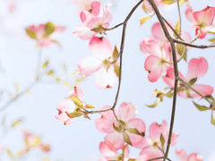 깊이 사랑할수록