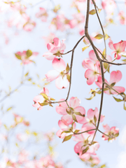 깊이 사랑할수록