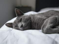 12. 작가 지망생 ‘나른’ - 3