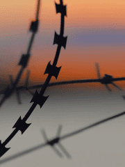 혁명군이지만 아이돌입니다.