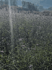 일상에 글을 추가해서