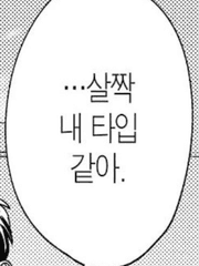 짹순이의 단편 시리즈