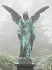 마리아의 회고록