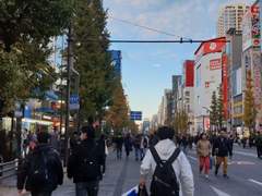 도쿄 여행 사진