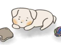 4화. 나의 첫 번째 강아지 마루(2)