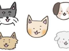 5화. 나의 첫 번째 강아지 마루(3)