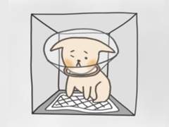 9화. 치수염전쟁(3)