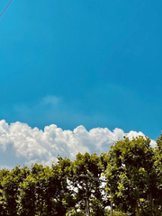 일상 속 사진들