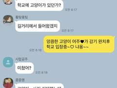 사고뭉치 니넨세들