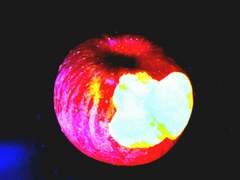 깨달음은 늦고_3막(上)