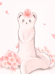 린디자인연구소