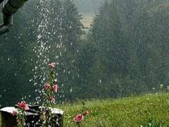 비를 듣다/이도은