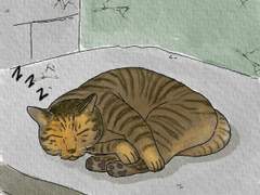 [길냥이 그리기 챌린지] 017 이상하게 자는 고등어