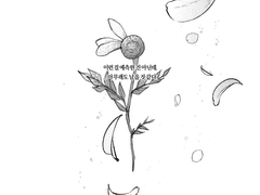 Cletis Hubert Saverio (1)