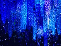 우울증 1년차의 노이즈