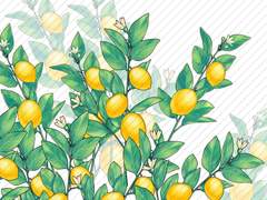 레몬 가지 브러쉬