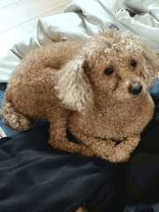 결말쓴후제목짓기로함(사진출처우리집)