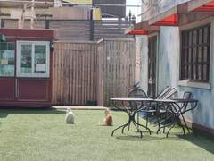 3월에 쓰지 못했던 기록