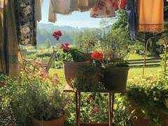 내 심장이 끊임없이 푸르른 빛을 원하고 있으니까