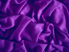 [단델금랑] - 사랑이 피어나는 사람