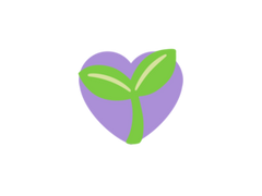 조아라🌱, 디리토💜 정리글