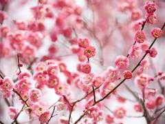 [화산귀환/장일소 드림] 장일소는 웃으며 테이블을 내려쳤다 02