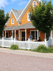 팀샐빌리지 주민들의 일상