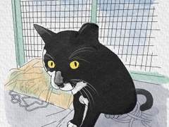 [길냥이 그리기 챌린지] 018 짝귀 길냥이