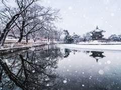 대비연(대들보도 모르는 비밀연애) 中