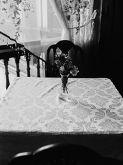 [좀아포] BACK TO SWEET HOME