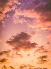 [여행 코스 2] 미스터리 수사반