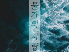 물가의 사랑 上