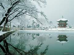 대비연(ver. 짤) 下 1