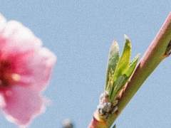 나와의 계연은?