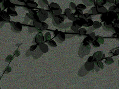 익명 [MAGNETiC TAPE]