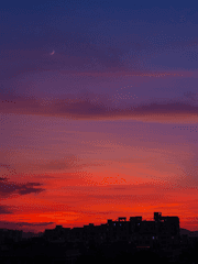 쳥려문대_좀아포AU