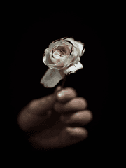 [Gl] 위서현 연지우