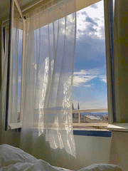 푸르스름한 나비 하나