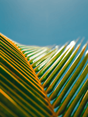 잔머리 같은 것들