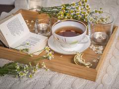 Catherine Lane/??/XX/오이 샌드위치