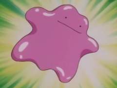 반쪽 모셨습니다 감사합니다uu♥️