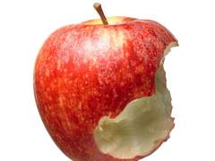 6개월 구독 사건 1